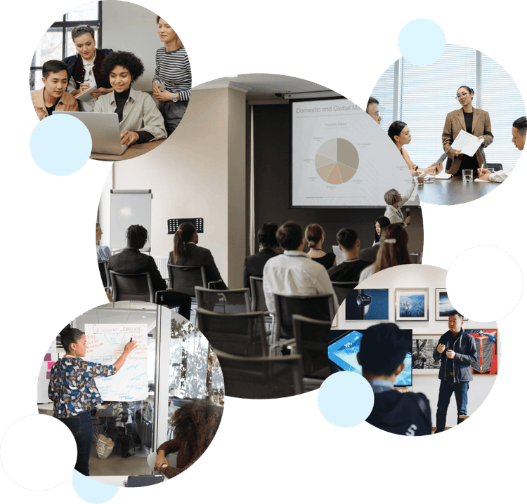 E-learning B2B MySkill